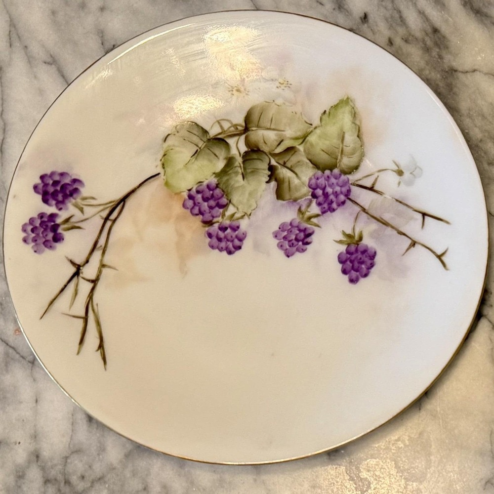 6pc VTG Antique Gotham Austria Hand Painted Signed 6" Fruit Dessertā Plates Gold - Picture 6 of 13